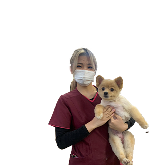 ライセンス&キャリア